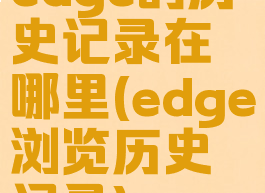 edge的历史记录在哪里(edge浏览历史记录)