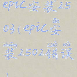 epic安装2503(epic安装2502错误)