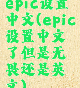 epic设置中文(epic设置中文了但是无畏还是英文)