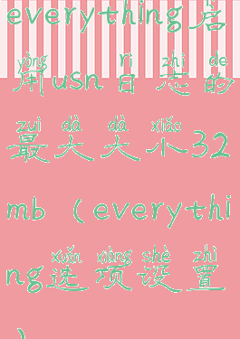 everything启用usn日志的最大大小32mb(everything选项设置)