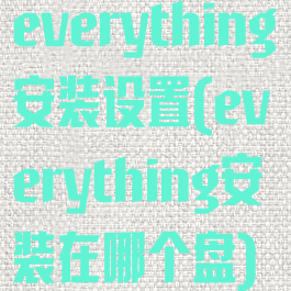 everything安装设置(everything安装在哪个盘)