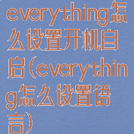 everything怎么设置开机自启(everything怎么设置语言)