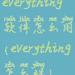 everything软件怎么用(everything怎么样)