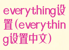 everything设置(everything设置中文)