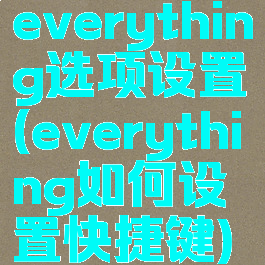 everything选项设置(everything如何设置快捷键)