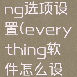 everything选项设置(everything软件怎么设置)