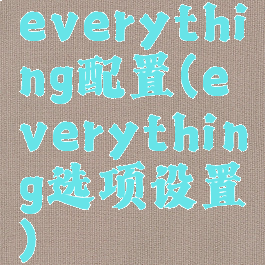 everything配置(everything选项设置)