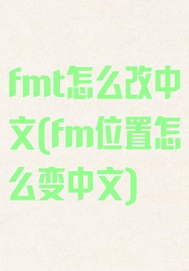 fmt怎么改中文(fm位置怎么变中文)