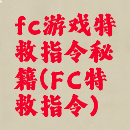 fc游戏特救指令秘籍(FC特救指令)