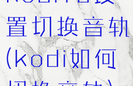 kodi18设置切换音轨(kodi如何切换音轨)