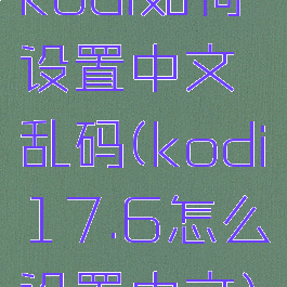 kodi如何设置中文乱码(kodi17.6怎么设置中文)