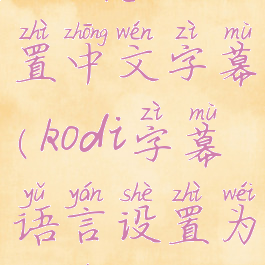 kodi怎么设置中文字幕(kodi字幕语言设置为中文)