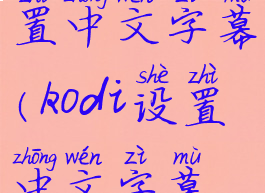 kodi怎么设置中文字幕(kodi设置中文字幕插件)