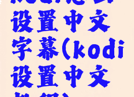 kodi怎么设置中文字幕(kodi设置中文教程)