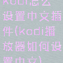 kodi怎么设置中文插件(kodi播放器如何设置中文)