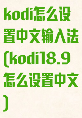 kodi怎么设置中文输入法(kodi18.9怎么设置中文)