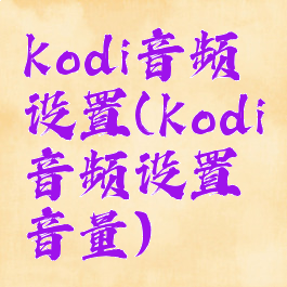 kodi音频设置(kodi音频设置音量)