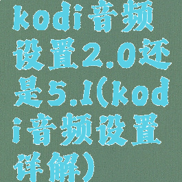 kodi音频设置2.0还是5.1(kodi音频设置详解)