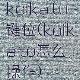 koikatu键位(koikatu怎么操作)