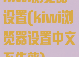 kiwi浏览器设置(kiwi浏览器设置中文不生效)