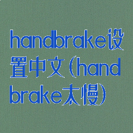 handbrake设置中文(handbrake太慢)