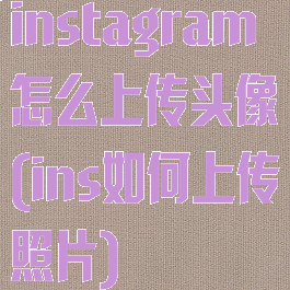 instagram怎么上传头像(ins如何上传照片)