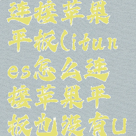 itunes怎么连接苹果平板(itunes怎么连接苹果平板也没有Usd)