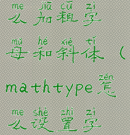 mathtype怎么加粗字母和斜体(mathtype怎么设置字体粗细)