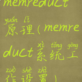 memreduct原理(memreduct系统工作设置)