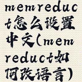 memreduct怎么设置中文(memreduct如何改语言)