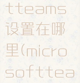 microsoftteams设置在哪里(microsoftteamsapp)