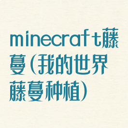 minecraft藤蔓(我的世界藤蔓种植)