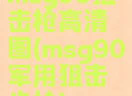 msg90狙击枪高清图(msg90军用狙击步枪)