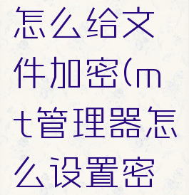 mt管理器怎么给文件加密(mt管理器怎么设置密码)