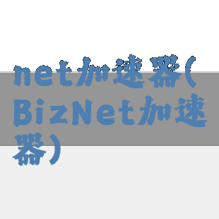 net加速器(BizNet加速器)