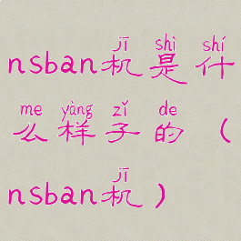 nsban机是什么样子的(nsban机)