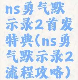 ns勇气默示录2首发特典(ns勇气默示录2流程攻略)