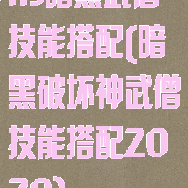 ns暗黑武僧技能搭配(暗黑破坏神武僧技能搭配2020)