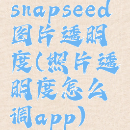 snapseed图片透明度(照片透明度怎么调app)