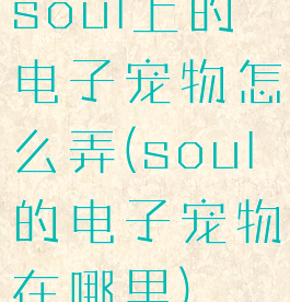 soul上的电子宠物怎么弄(soul的电子宠物在哪里)