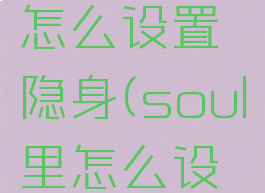 soul上面怎么设置隐身(soul里怎么设置隐身)