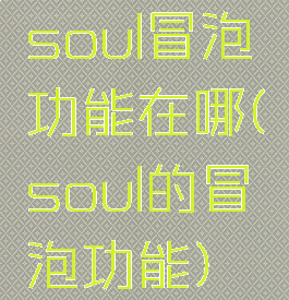 soul冒泡功能在哪(soul的冒泡功能)