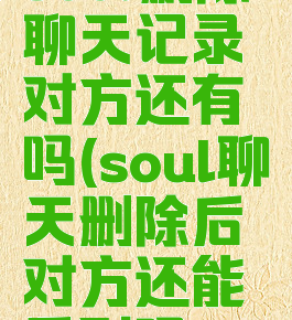 soul删除聊天记录对方还有吗(soul聊天删除后对方还能看到吗)