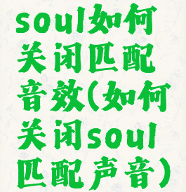 soul如何关闭匹配音效(如何关闭soul匹配声音)