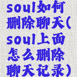 soul如何删除聊天(soul上面怎么删除聊天记录)