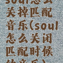 soul怎么关掉匹配音乐(soul怎么关闭匹配时候的音乐)