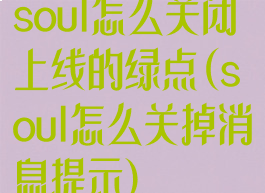 soul怎么关闭上线的绿点(soul怎么关掉消息提示)