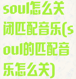 soul怎么关闭匹配音乐(soul的匹配音乐怎么关)