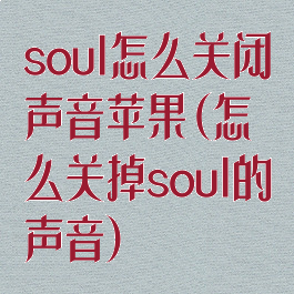 soul怎么关闭声音苹果(怎么关掉soul的声音)