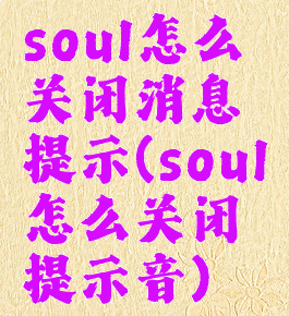 soul怎么关闭消息提示(soul怎么关闭提示音)